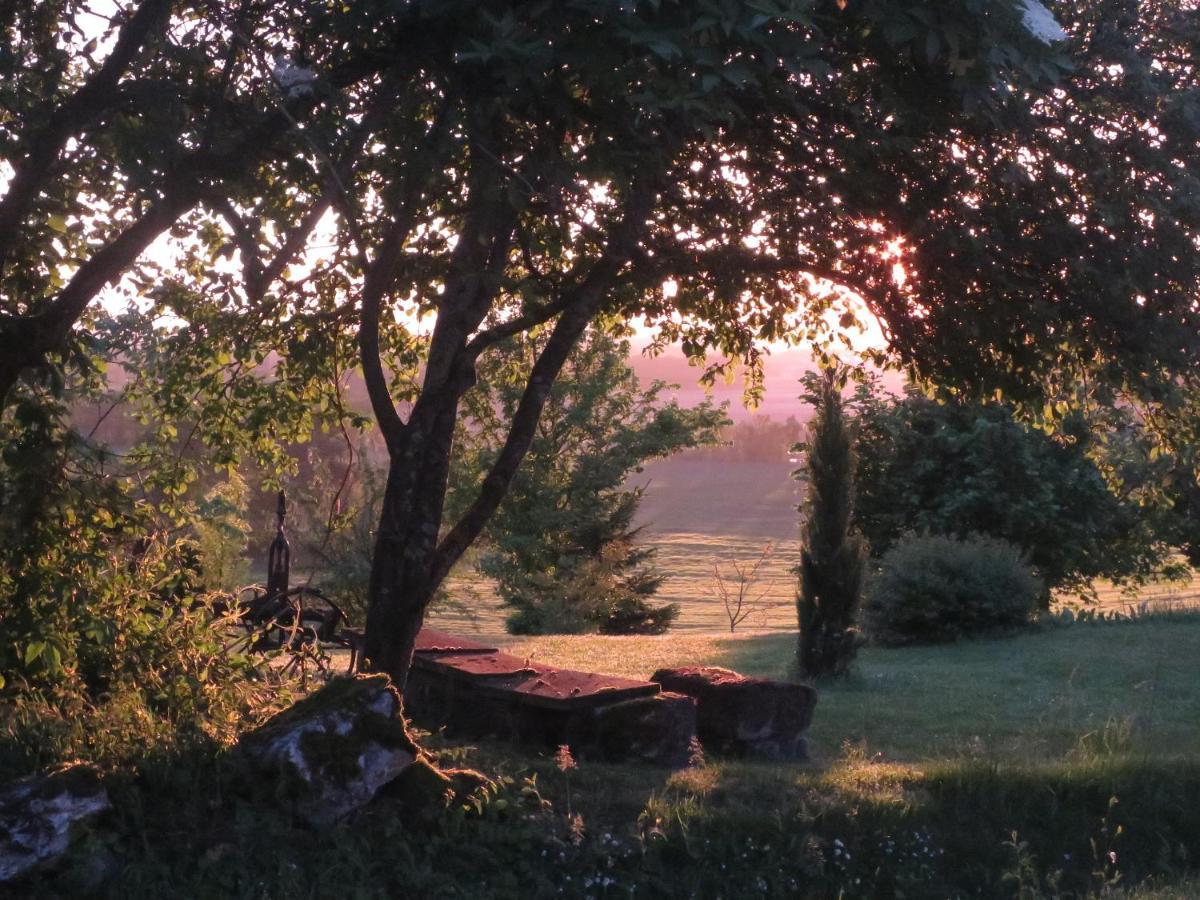 La Ferme Buissonniere Bed & Breakfast Bardou Exterior photo
